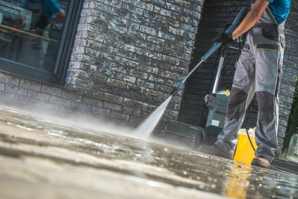 Best Animal Enclosure Cleaning  in Collinsville, AL